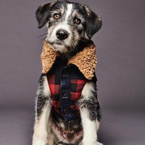 DSQUARED2 x POLDO Red/Black Check Collared Vest